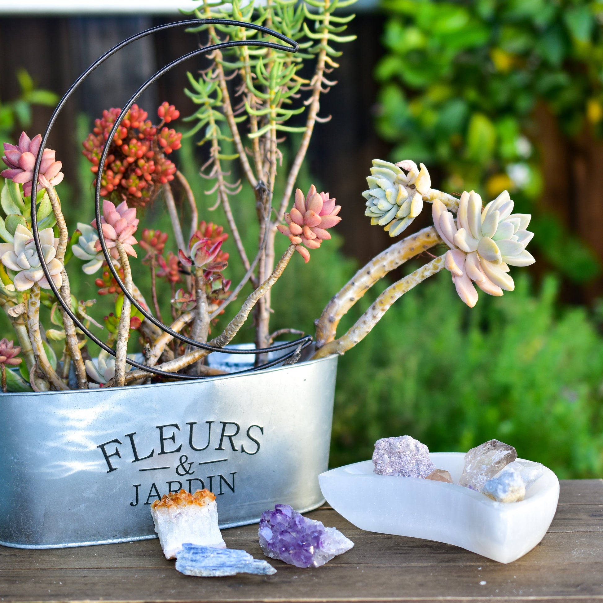 NEW Selenite Moon Bowls - Perfect for Holding and Recharging Crystals, Jewelry, and Small Items - NovaShop