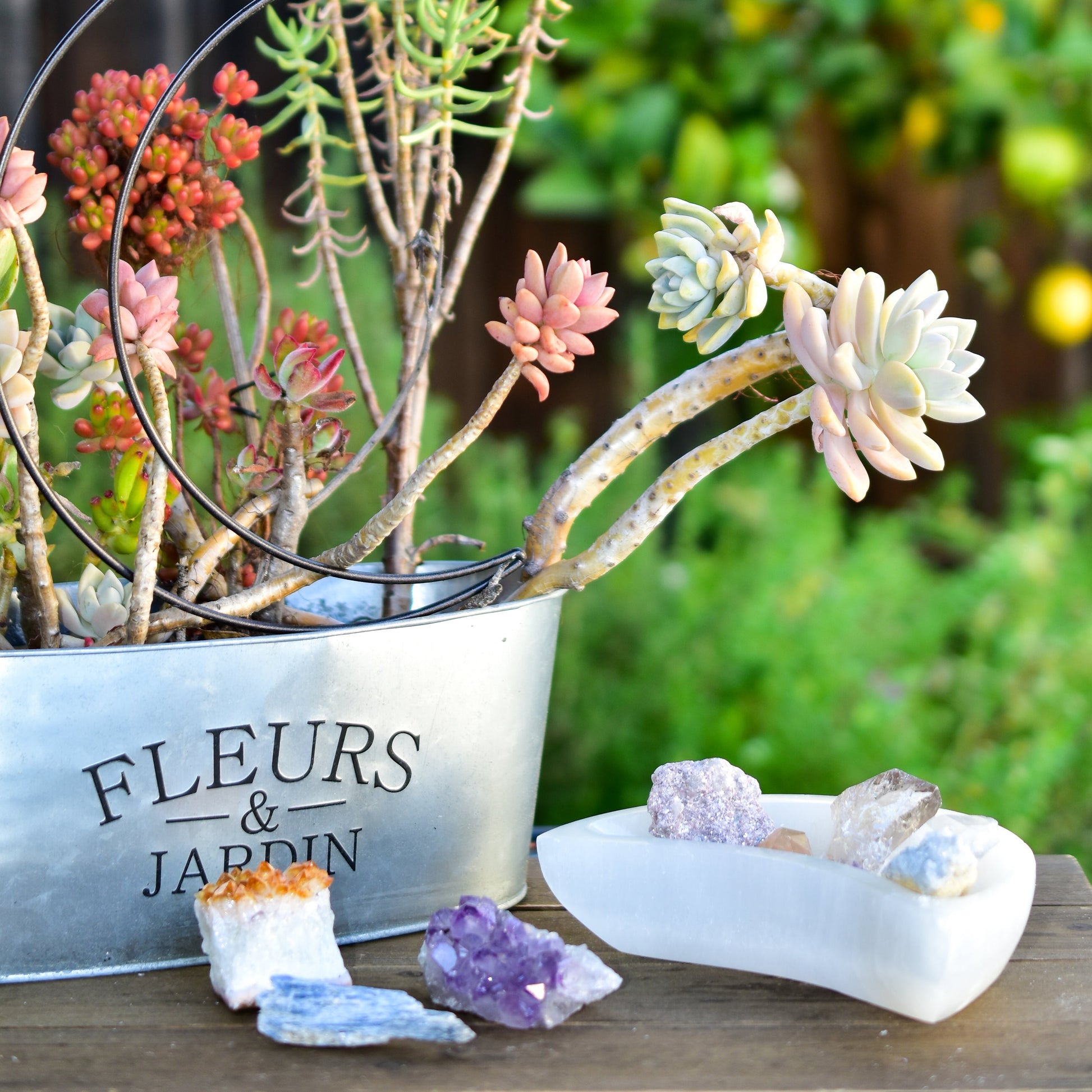 NEW Selenite Moon Bowls - Perfect for Holding and Recharging Crystals, Jewelry, and Small Items - NovaShop